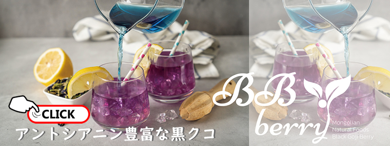 モンゴル産 黒クコ BB berryのウェブサイトへ