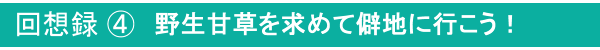 回想録④
