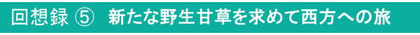 回想録⑤