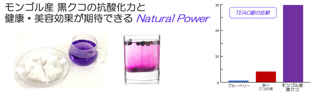 ブルーベリーの40倍の抗酸化作用がある黒クコ