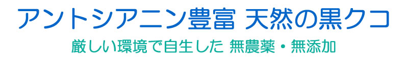黒クコはアントシアニン豊富